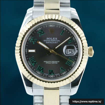 Rolex Datejust 36mm 116233GYRO Men’s Silver-tone